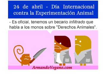 24 de abril contra la experimentación animal